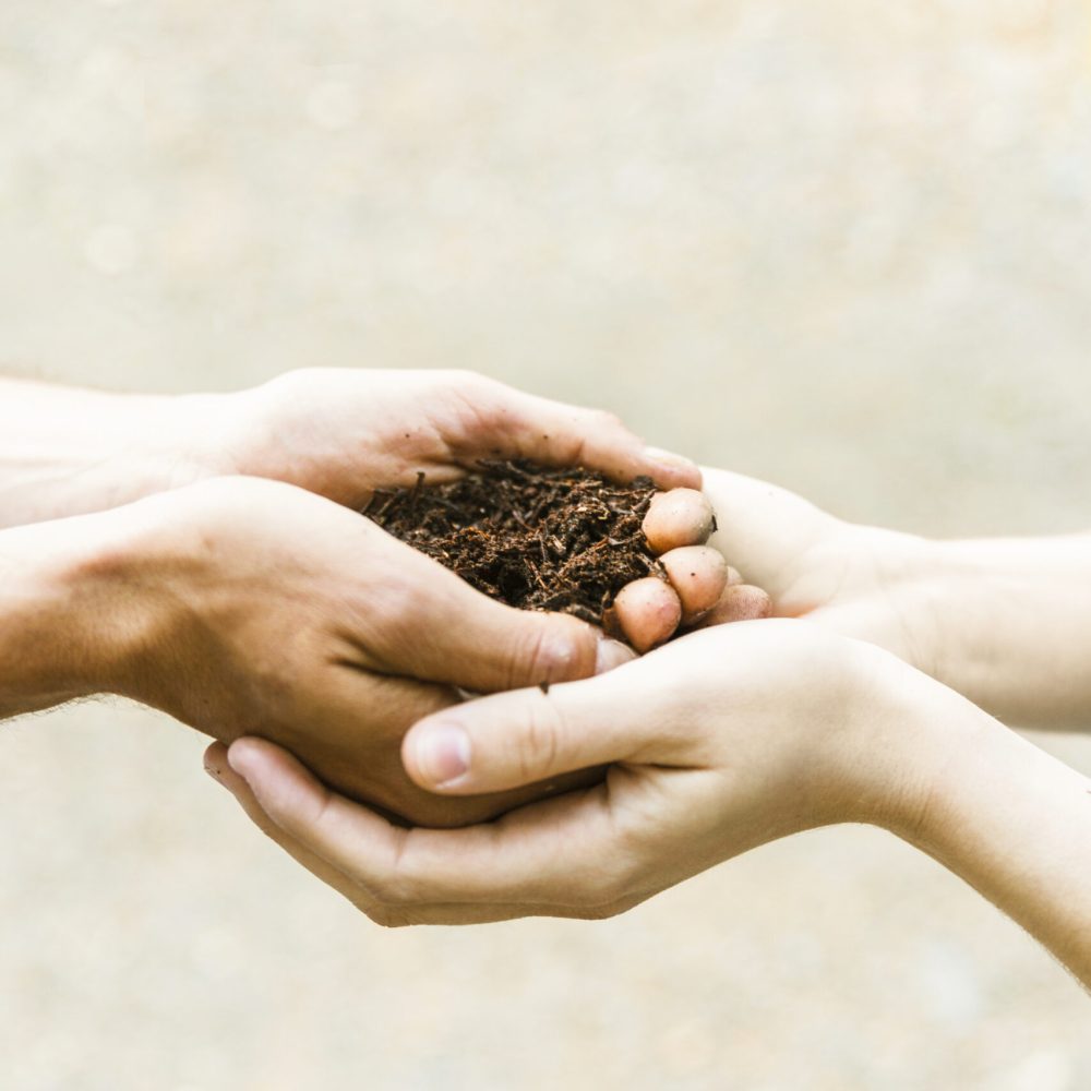 crop-hands-with-soil